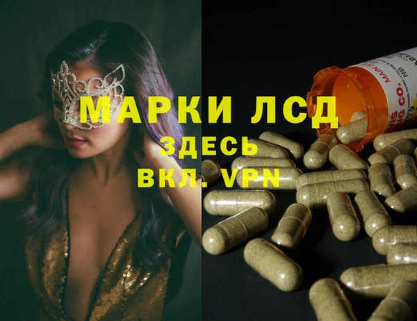 стафф Алзамай