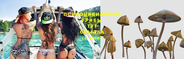 СК Алексин