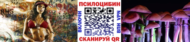 Галлюциногенные грибы Psilocybe Камешково