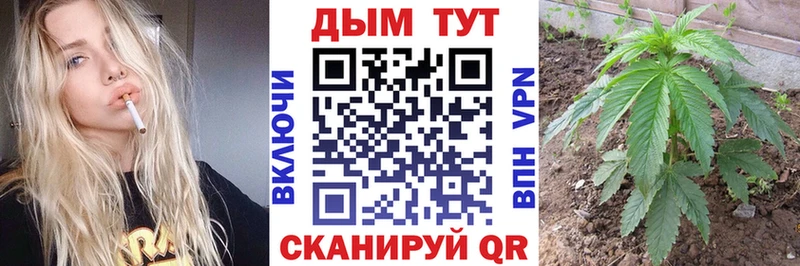 Шишки марихуана Amnesia  наркотики  Камешково 
